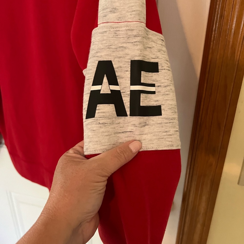 Mens American Eagle Hoodie